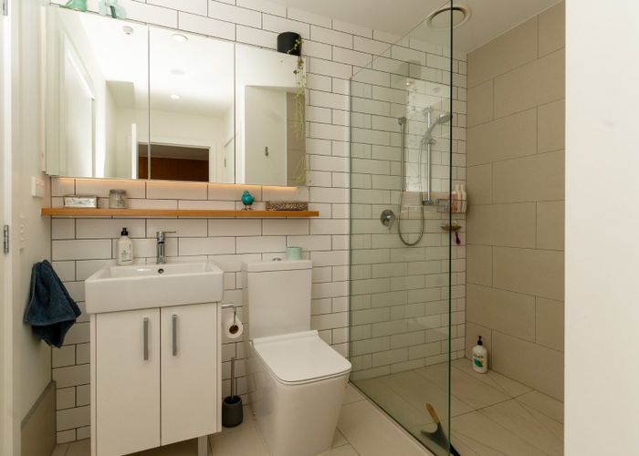  at 207/30A Enfield Street, Mount Eden, Auckland City, Auckland