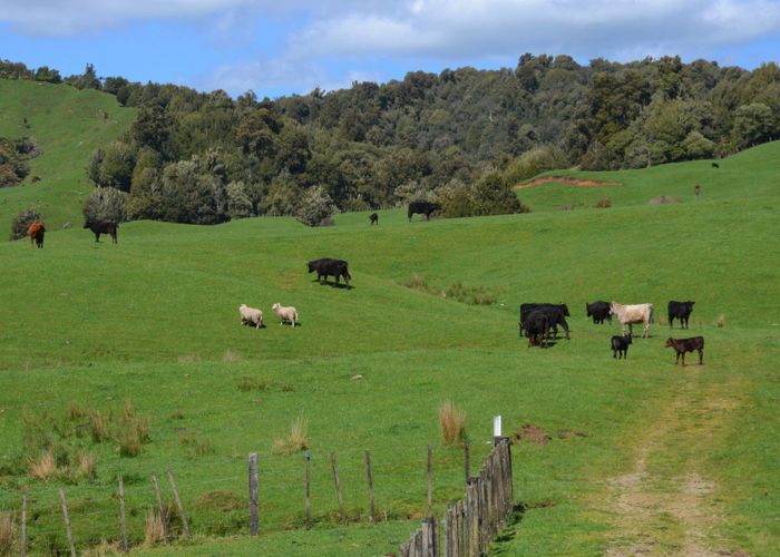 For sale 262 Waitaanga North Road, Ohura, Ruapehu, Manawatu / Whanganui homes.co.nz