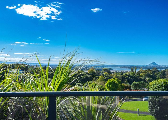  at 14 Estates Terrace, Welcome Bay, Tauranga, Bay Of Plenty