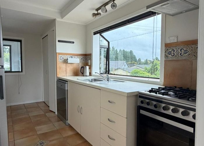  at 20 Nikau Street, Springfield, Rotorua, Bay Of Plenty