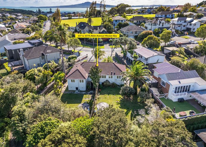  at 107 & 107A Atkin Avenue, Mission Bay, Auckland City, Auckland