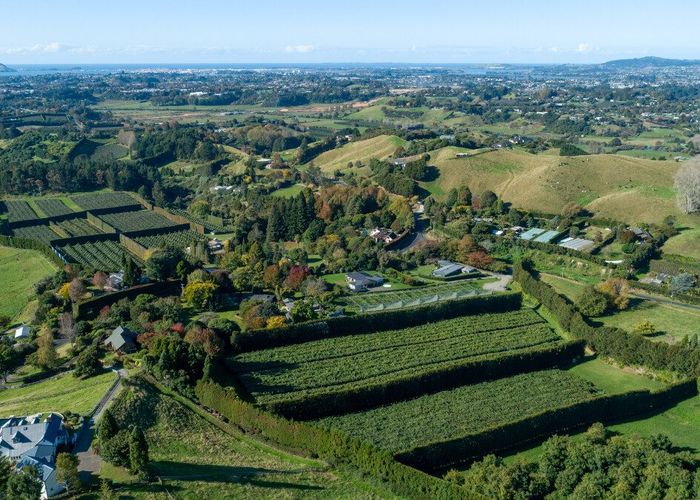  at 131 Crawford Road, Te Puna, Western Bay Of Plenty, Bay Of Plenty