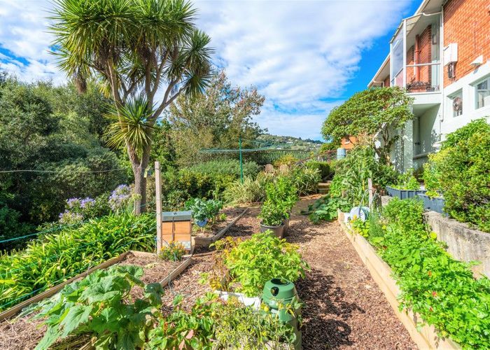  at 58 Kelvin Road, North East Valley, Dunedin
