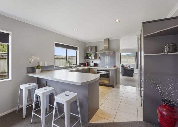  at 19 Percy Kinsman Crescent, Riverstone Terraces, Upper Hutt