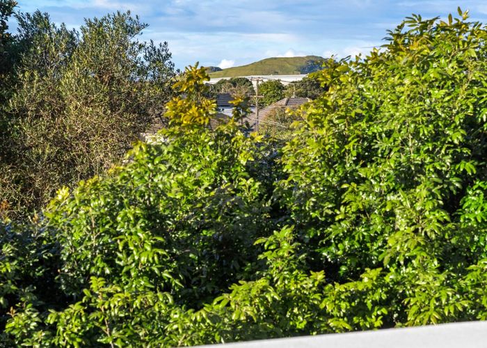  at 9/36 Wilkinson Road, Ellerslie, Auckland City, Auckland