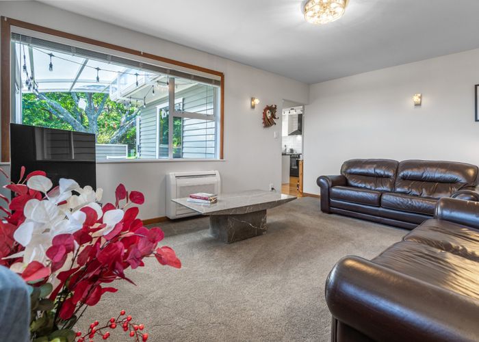  at 29 Mulgan Street, New Windsor, Auckland City, Auckland