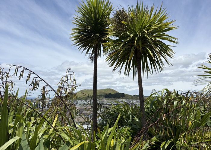  at 17 Magma Crescent, Stonefields, Auckland