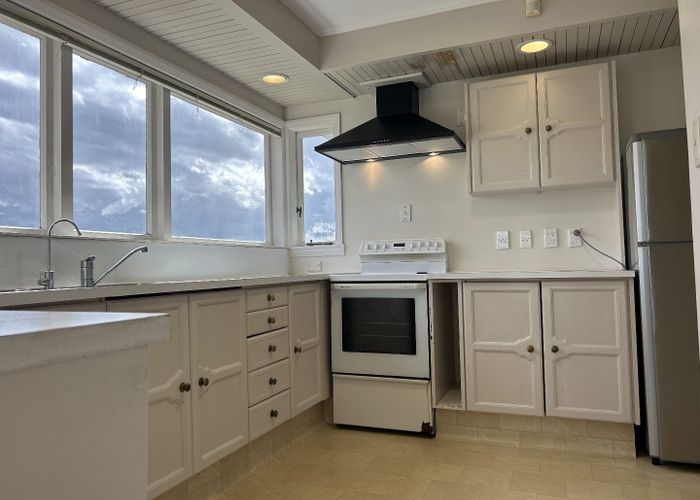  at 295 Kohimarama Road, Saint Heliers, Auckland City, Auckland