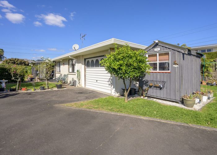  at A & B/101 Mansels Road, Parkvale, Tauranga, Bay Of Plenty