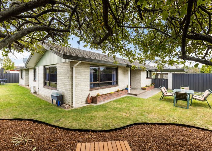  at 219 Guppy Road, Taradale, Napier