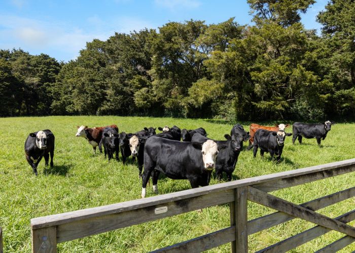  at 527a Whangaripo Valley Road, Wellsford, Rodney, Auckland