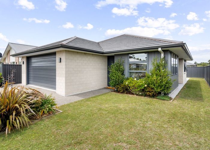  at 79 Sentinel Avenue, Omokoroa