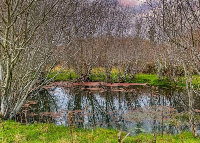  at 358 Hurunui Bluff Road, Waikari, Hurunui, Canterbury