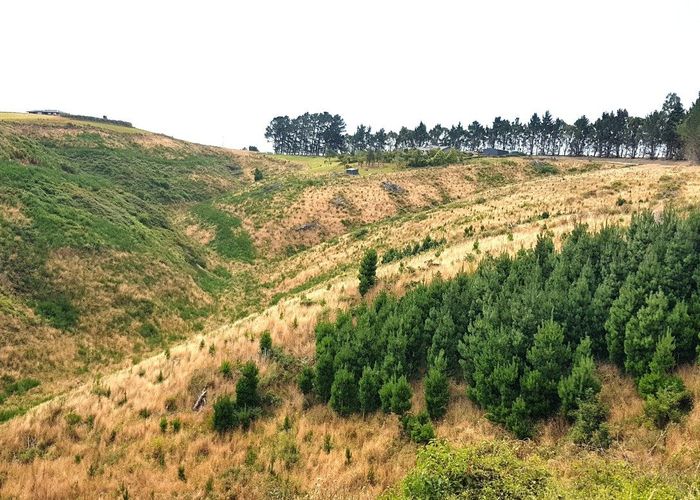  at Sunflower Road, Balclutha, Clutha, Otago