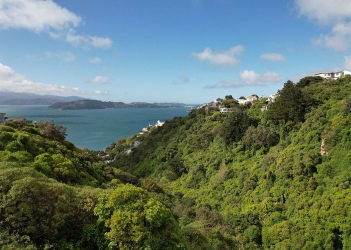  at 55 Lohia Street, Khandallah, Wellington, Wellington