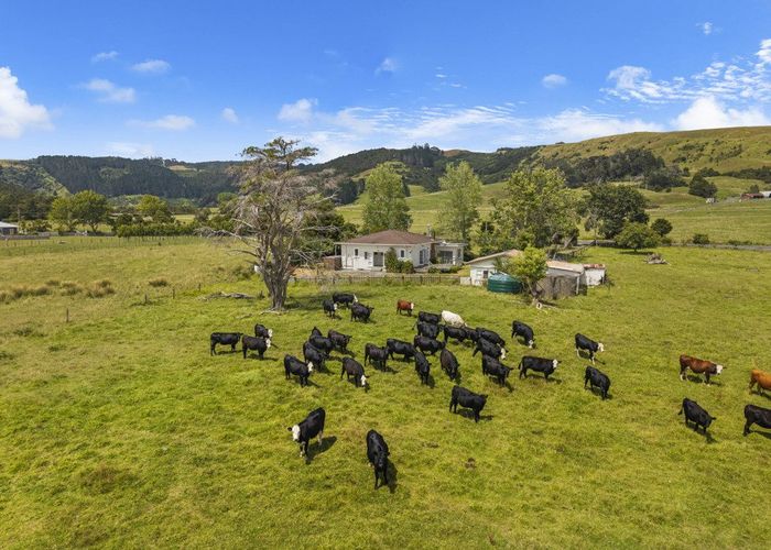  at 1313 Whangaripo Valley Road, Whangaripo, Rodney, Auckland