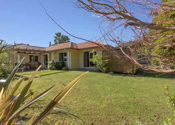  at 16 Edwin Grove, Bethlehem, Tauranga