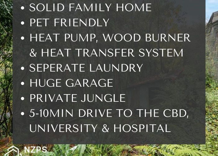  at 19 Wairoa Street, Kaikorai, Dunedin