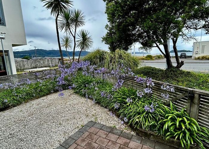  at 167 The Esplanade, Petone, Lower Hutt, Wellington
