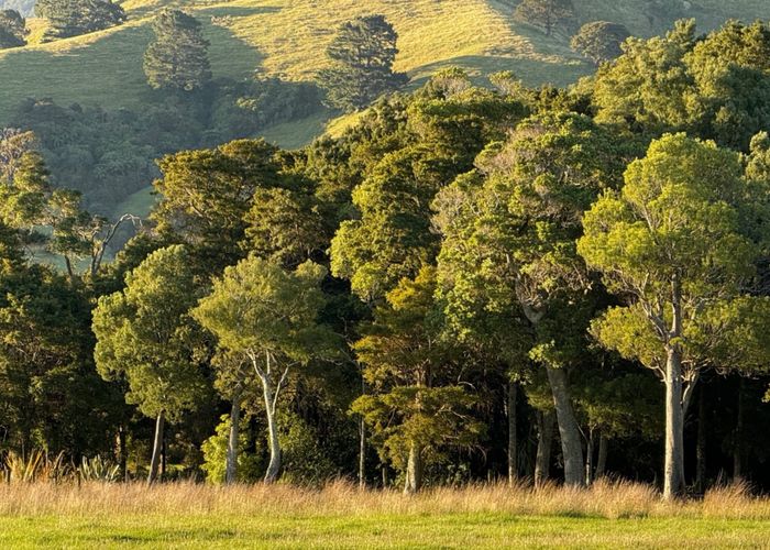  at 194 Underhill Road, Greytown, South Wairarapa, Wellington