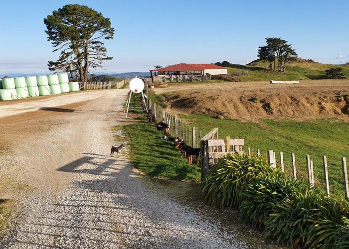  at 291 Mahoe Road, Waitomo, Te Kūiti