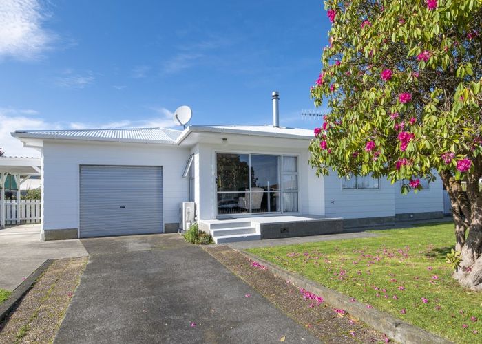  at 12 Heather Street, Levin, Levin
