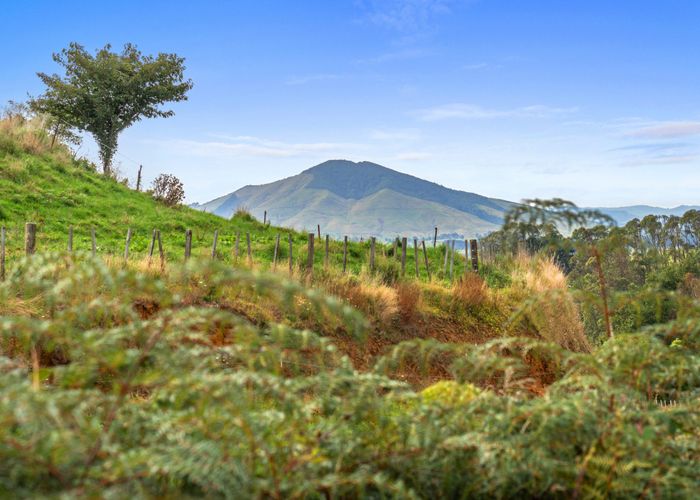  at 233 Te Tahi Rd, Pirongia, Waipa, Waikato