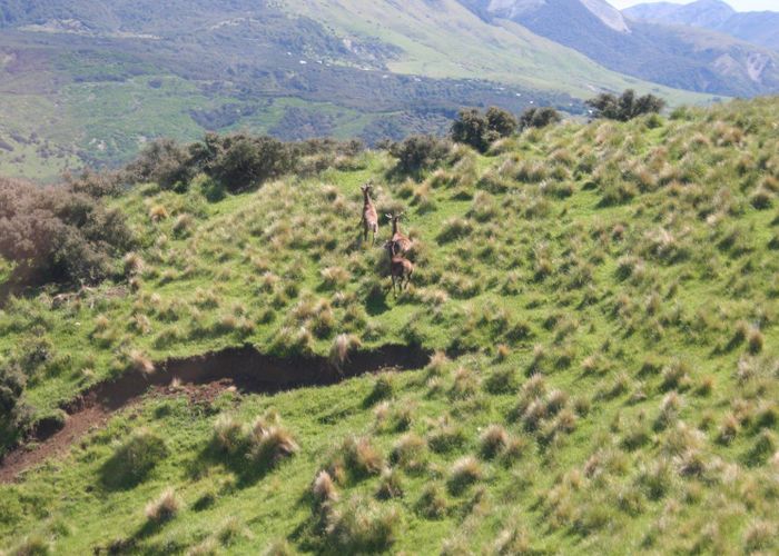  at 2314 Inland Road, Waiau, Hurunui, Canterbury