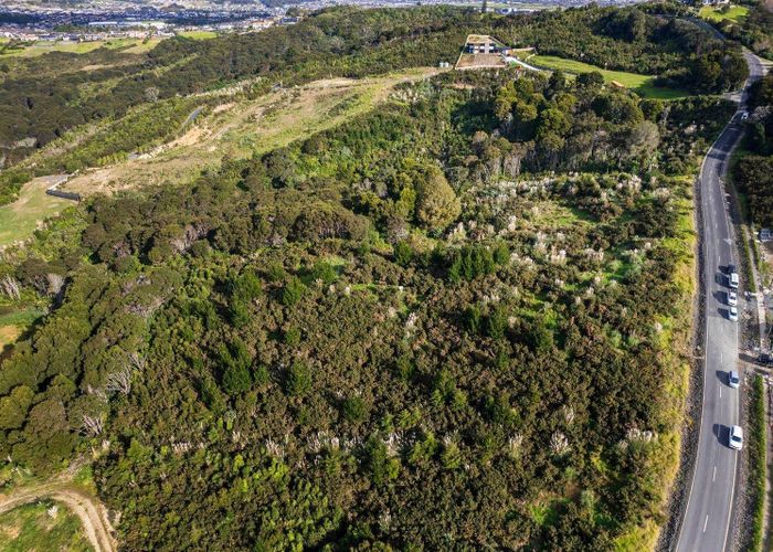  at 88 Griggs Road, East Tamaki Heights, Manukau City, Auckland