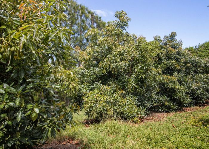  at 22 Ongare Point Road, Katikati, Western Bay Of Plenty, Bay Of Plenty