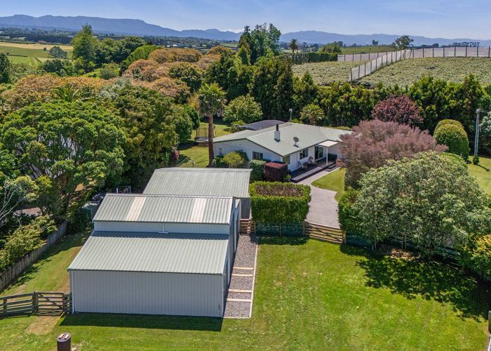  at 474 Youngson Road, Whakamarama, Western Bay Of Plenty, Bay Of Plenty