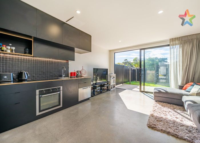  at 31 Te Ara O Paetutu, Petone, Lower Hutt