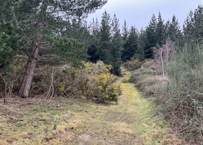  at Breakneck Road, Herbert, Waitaki, Otago