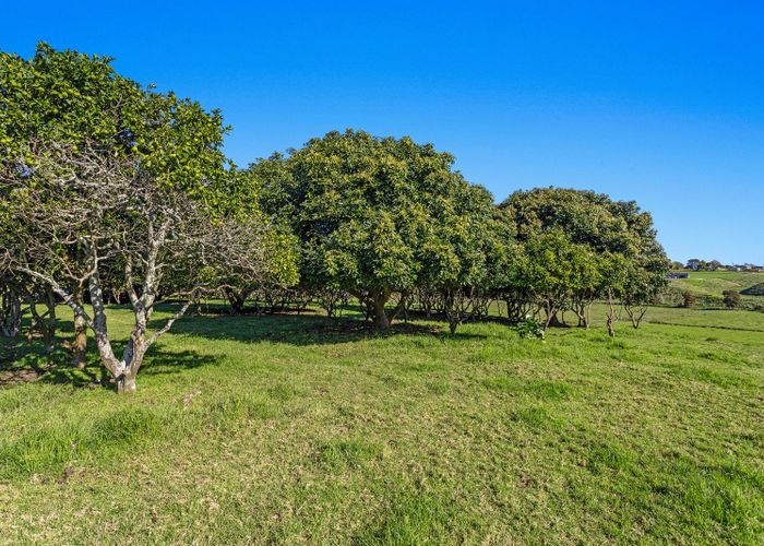  at 64 Grant Road, Opotiki, Opotiki, Bay Of Plenty