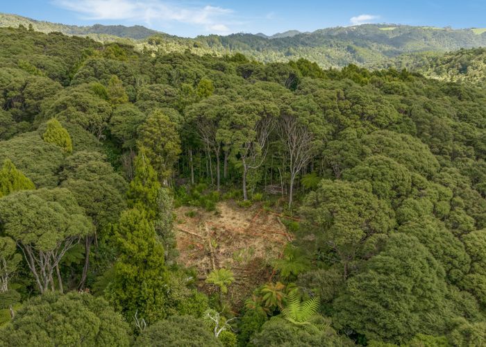  at 252 Piha Road, Piha, Waitakere City, Auckland