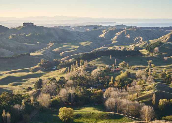  at 1387 Tuki Tuki Road, Havelock North, Hastings, Hawke's Bay