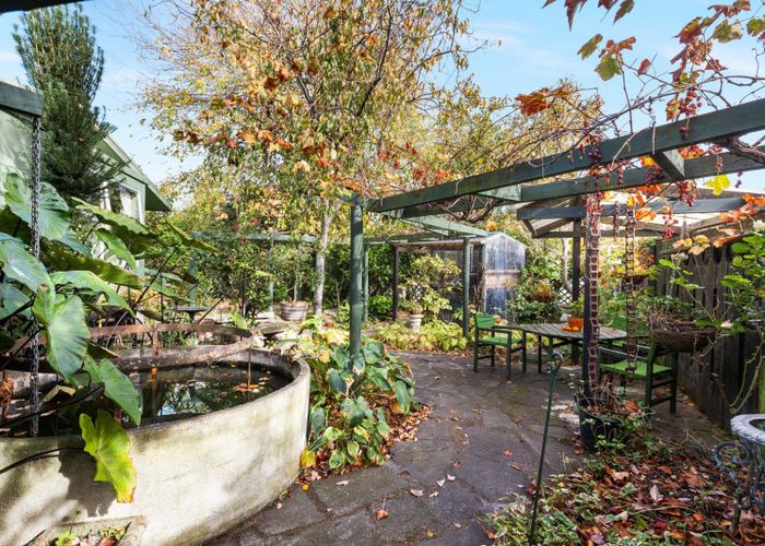  at 12 Saint Hill Lane, Havelock North, Havelock North