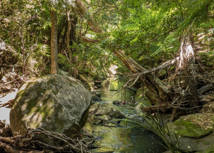  at Lot 25, 104 Taiwawe Lane, Hot Water Beach, Thames-Coromandel, Waikato