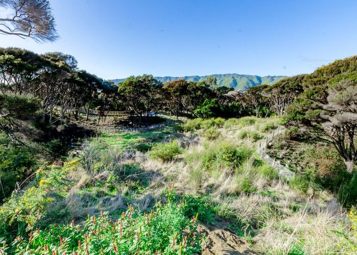  at 51 Anderson Park Drive, Waikanae, Kapiti Coast, Wellington