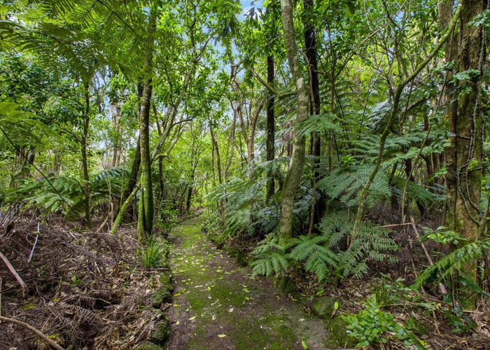  at 741 Scenic Drive, Henderson Valley, Auckland