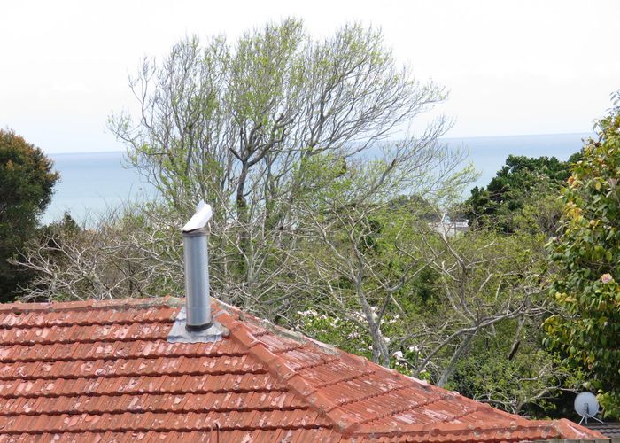  at 7 Lismore Street, Strandon, New Plymouth