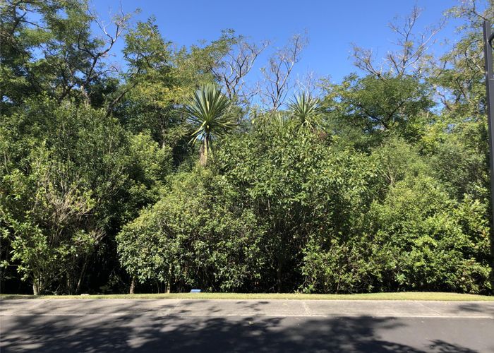  at 55 Parawera Drive, Acacia Bay, Taupo