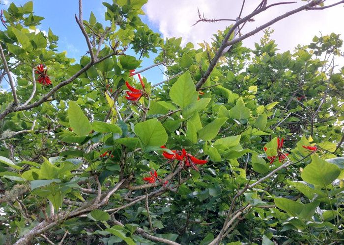  at Lot/2 Wearmouth Road, Paparoa, Kaipara, Northland