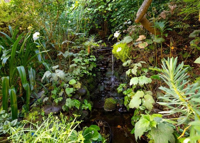  at 5 Allan Street, Nelson South, Nelson, Nelson / Tasman