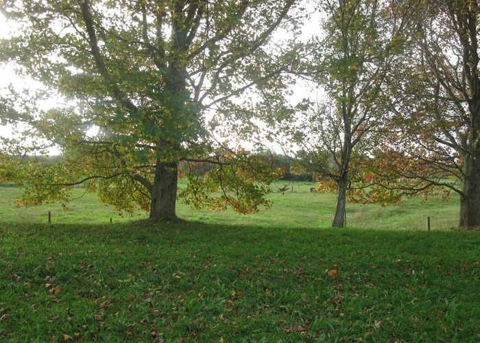  at 12 Duncan Road, Ngahinapouri, Ohaupo