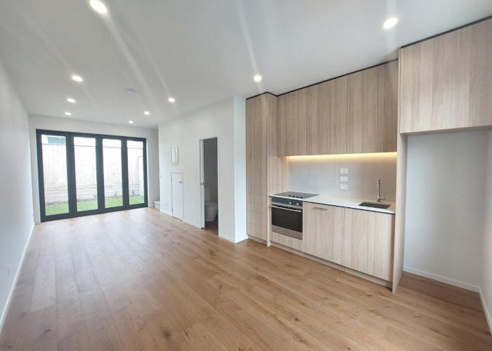  at 19 Hadlow Terrace, Grey Lynn, Auckland City, Auckland