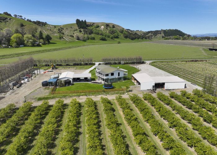  at 123 Bond Road, Ormond, Gisborne, Gisborne