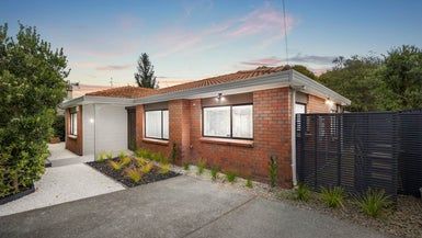  at 10 Tui Street, Point Chevalier, Auckland