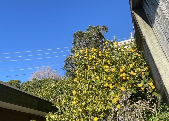  at 2/15  Glanmire Rd, Newlands, Wellington, Wellington
