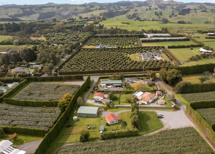  at 856B Oropi Road, Oropi, Western Bay Of Plenty, Bay Of Plenty